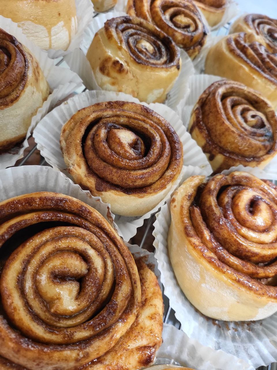 Bakery Equipment USA | Commercial Bakery Equipment Supplier